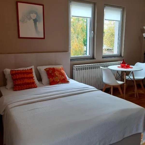 Apartmani RALE rooms，位于萨拉热窝的酒店