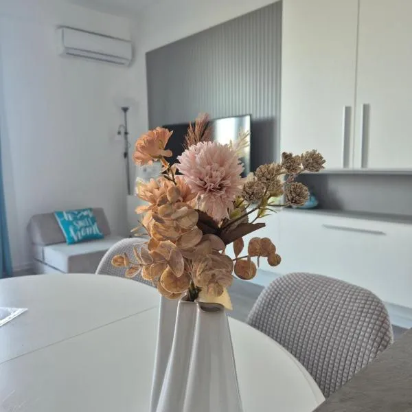 Apartament Mirela，百樂費利克斯的飯店