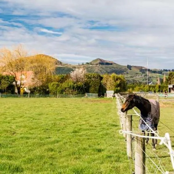 Saddleview Cottage-Horse and Trailer friendly, hotel en Mosgiel