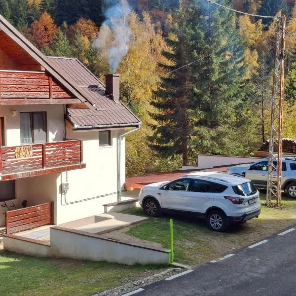 Cabana Denisa, hotel in Rîu de Mori
