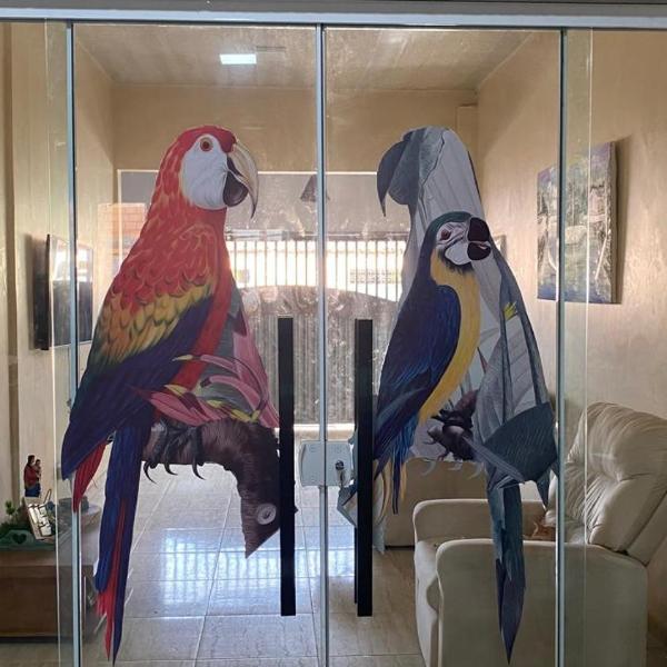Casa alegria de viver