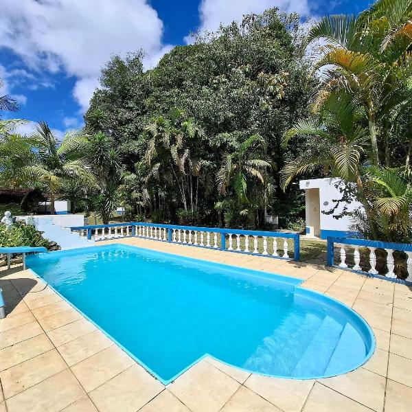 Sitio com piscina, campo de futebol e lagos LT0015 - Foto 4