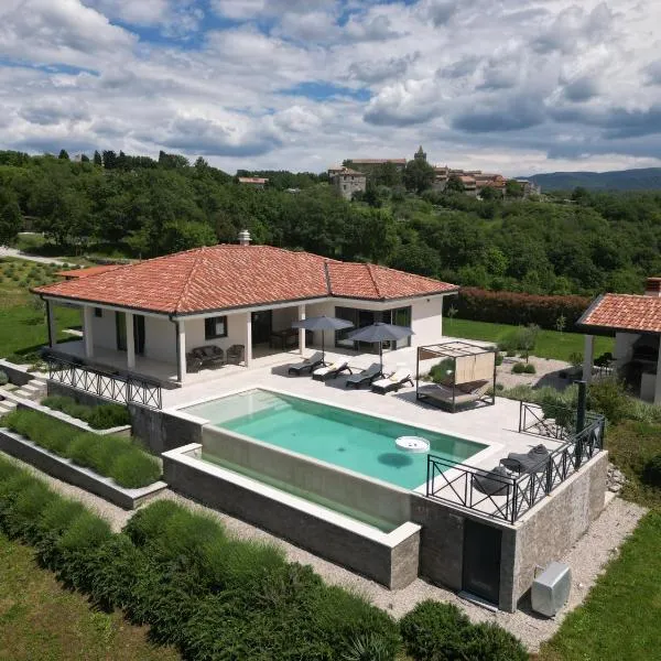 Villa Green Forest with wellness and heated salty pool、Humのホテル