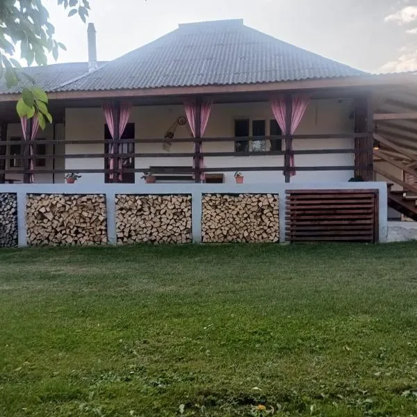 Casa Dyasof, hotel v destinaci Rohia