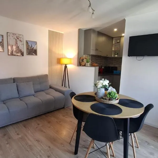 Free Garage in the Center-Delicia 4 ApartHotel, hotel in Sibiu