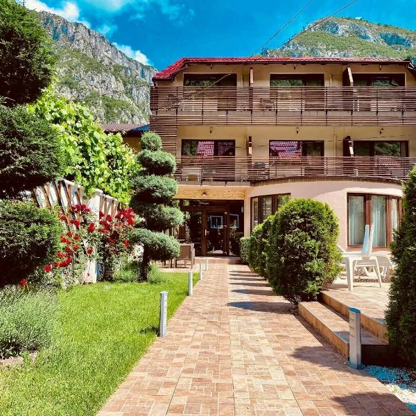 Pensiunea JOJO, hôtel à Băile Herculane