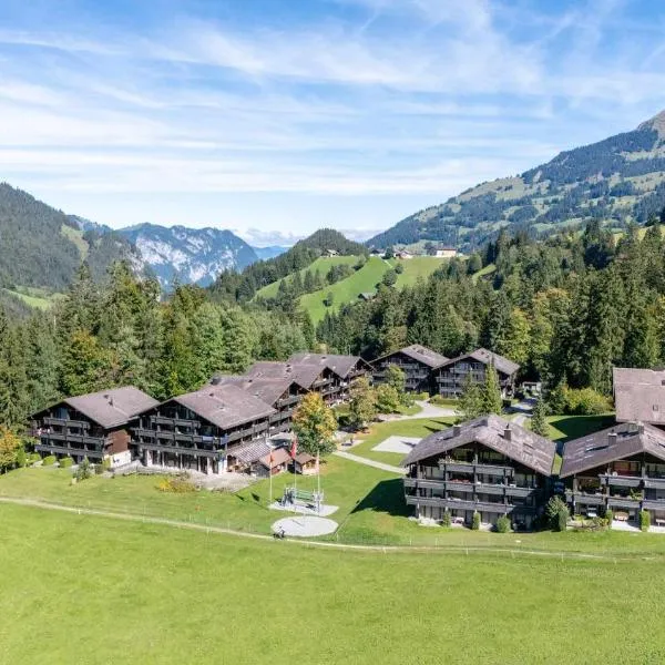 Large Apartment In The Vacation Center Whirlpool, hotel in Diemtigen