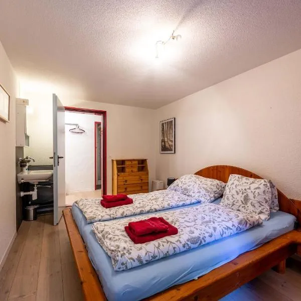 Large Apartment In The Vacation Center Whirlpool, hotel en Diemtigen