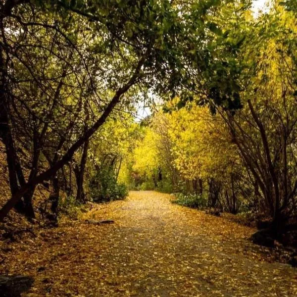 B&B Nonna Iolanda, hotel in Camigliatello Silano