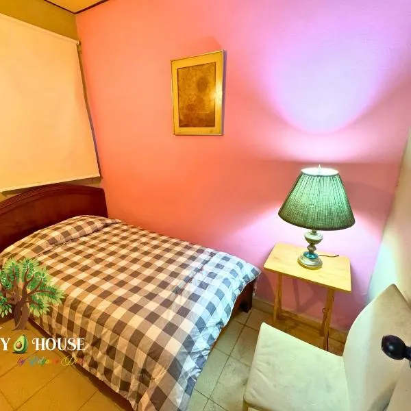 Penny House Hostal, hotel v destinaci David