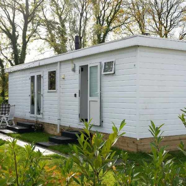 Chalet Bosgeluk - close to the woods, hotel in Anloo