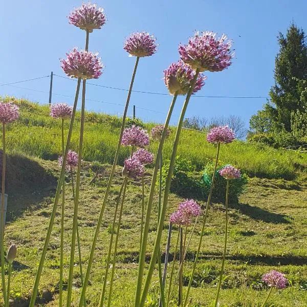 Ferienwohnung am Huthainberg, khách sạn ở Börnichen