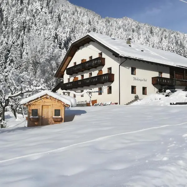 Pfaffingerhof Antholz、Masserieのホテル