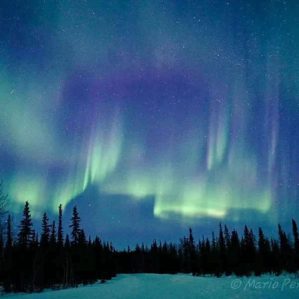 Trinity House, hotel in Fairbanks