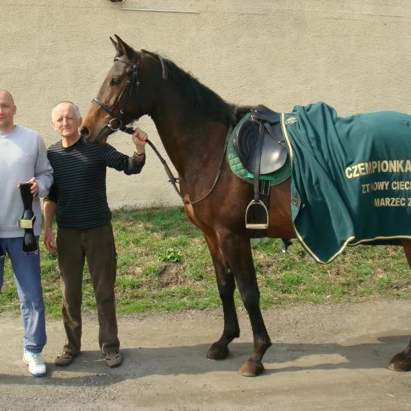 Farma Bartolini, hotelli Więcborkissa