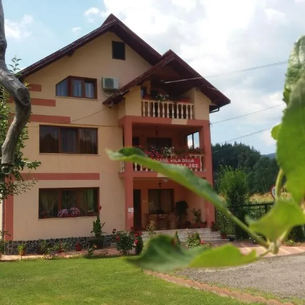 Casa Deea – hotel w mieście Căpăţîneni-Pămînteni