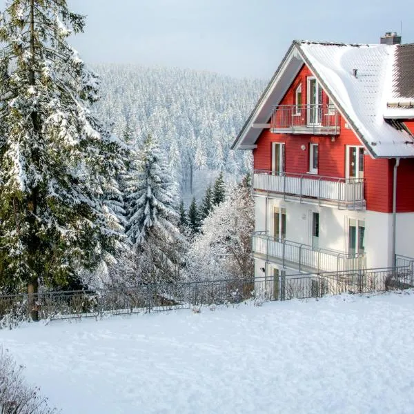 Ferienwohnung Tannenblick 2-2 3-4, hotel v destinaci Oberhof