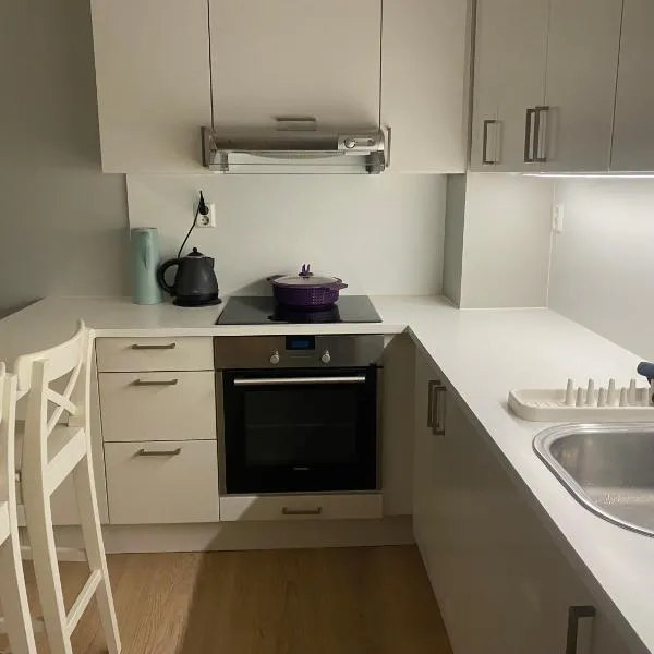 Great, spacious apt by central station!, hotel em Oslo