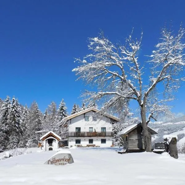 Lettnerhof Bnb Wohnung 5，蒙圭爾福的飯店