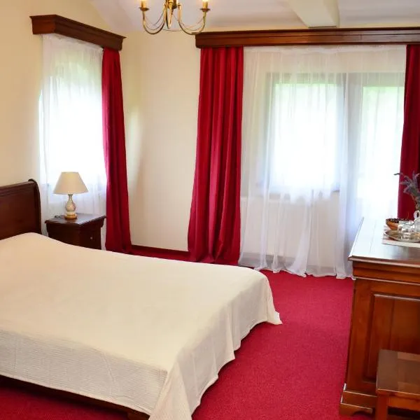 Pensiunea Valea Pinului, hotel in Rau Sadului
