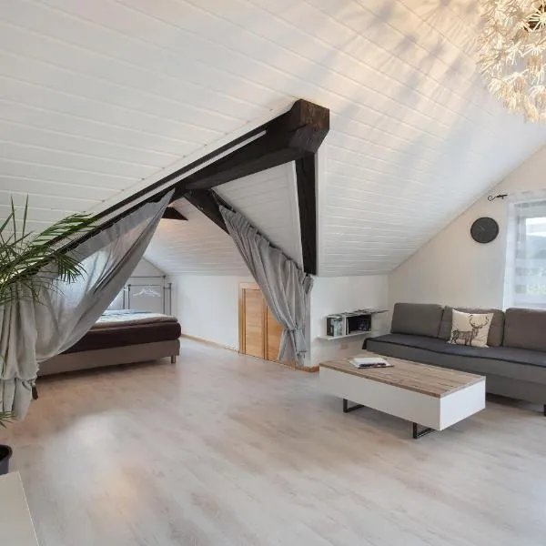 Schwarzwaldglück Loft, Hotel in St. Blasien