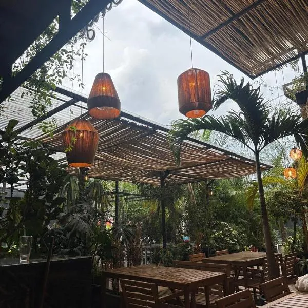 La Selva Hostel, viešbutis Meksike