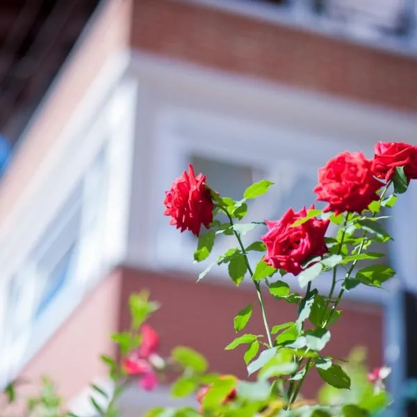 B&B Il Pettirosso, hotel v destinaci Malonno