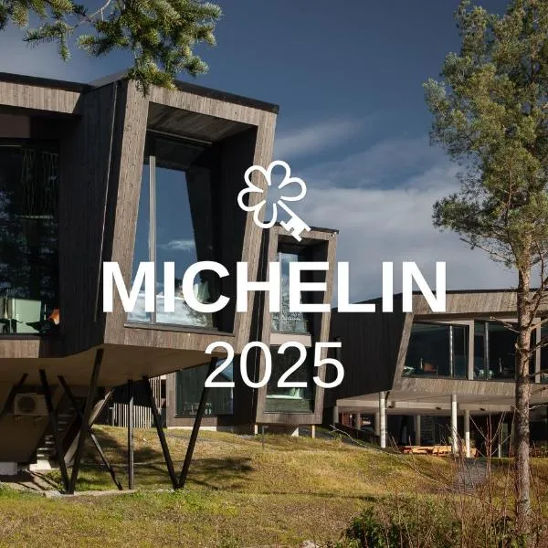 Elva Hotel, hotel in Skulestadmo