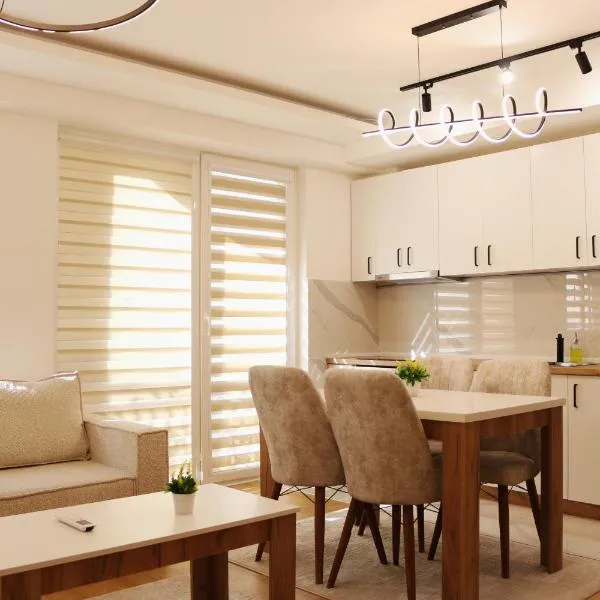 S Lux Center Suites, מלון בסקופיה