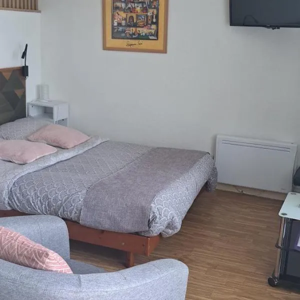 50 m des cures joli studio Audrey rénové parking wifi, hotel in Amélie-les-Bains-Palalda