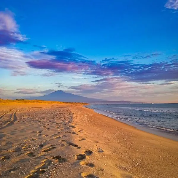 Mg Palace Hotel Costa del Sole, hotel in Vaccarizzo - Delfino