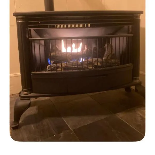 Charleston, SC themed - PRIVATE 1 QUEEN BED 1 BATH APARTMENT 2 FUTONS THAT FOLD OUT FLAT TO SLEEP ON & LEATHER LOVE SEAT GAS LOGS IN LIVING ROOM FULL KITCHEN POKER BUMPER POOL TABLE CONVENIENTLY LOCATED IN COLUMBIA SOUTH CAROLINA 1 QUEEN BED & 2 SOFA BEDS, hotel i Columbia