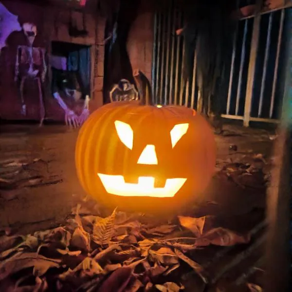 Apartamenty Gajówka- rowery, plac zabaw, sauna, jacuzzi, hotel en Stegna