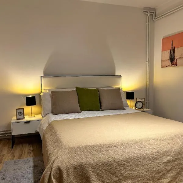 Black and Ginger Residence，位于兹雷尼亚宁的酒店