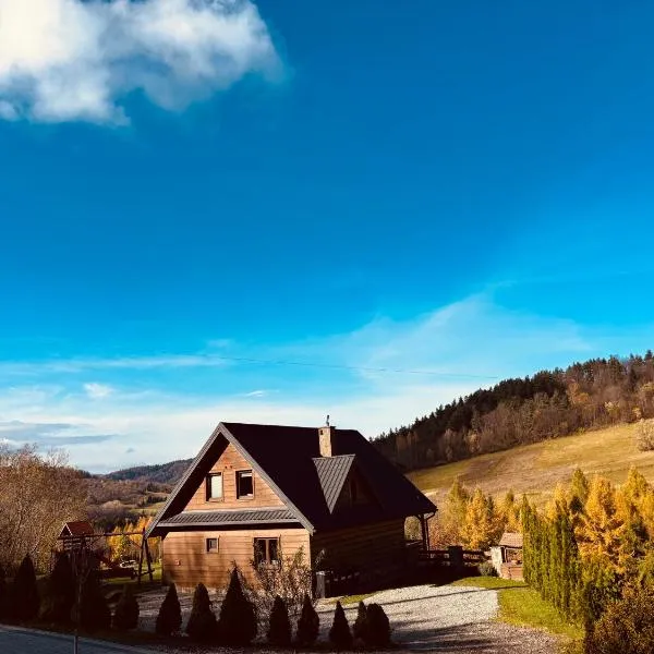 Bieszczady Żubrowe Wzgórze 785-049-543, готель у місті Stężnica
