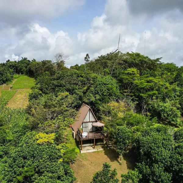 Exclusive Huts