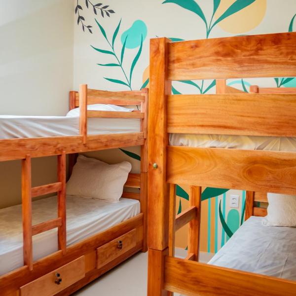 Eco Hotel Mãe De Sagui - Foto 2