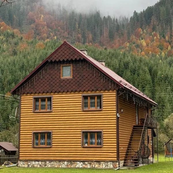 Садиба у Софійки, hotel in Synevyrsʼka Polyana