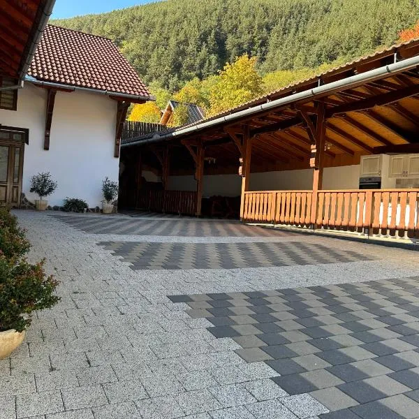 Pensiunea Hanzu Darius, hotel din Gura Râului