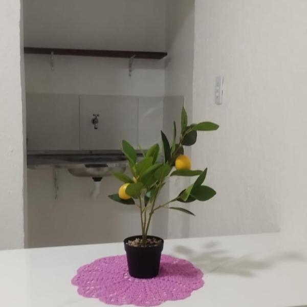 Da Luiza