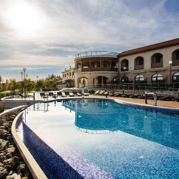 Panorama Kakheti Resort, hotel v destinaci Gurjaani