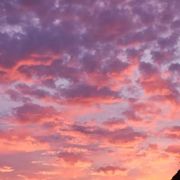 Pension Haus Erika, hotel in Cuxhaven