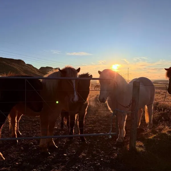 Arngrimslundur Cottages, hotel v destinaci Fludir