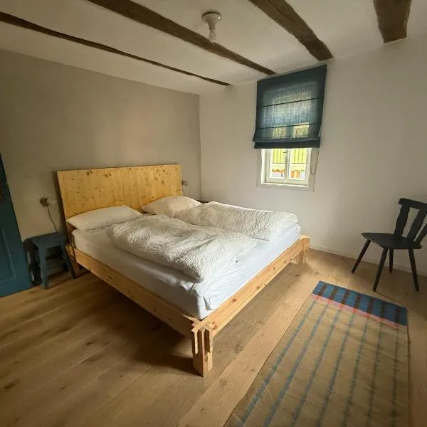 Zur Traube - blau, hotel v destinaci Erbach