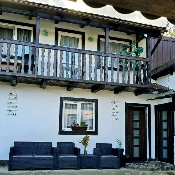 Casuța Râului, hotel em Zarnesti
