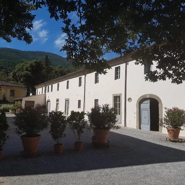 Agriturismo Il Frantoio Di Colle Alberto, hotell i Cantagallo