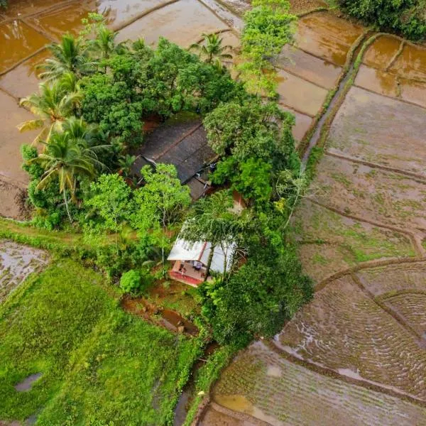 Forest & Fields Sinharaja - In The Fields On The Edge, hotel in Deniyaya