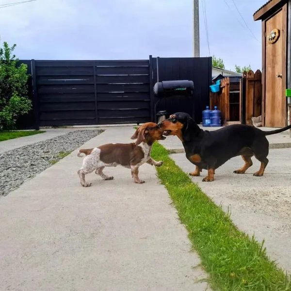 푸에르토 나탈레스에 위치한 호텔 Cabañas Ruben Dario 1