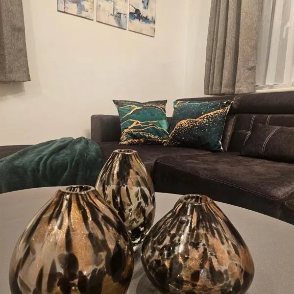 Elegant Bright and Modern Apparment in Battersea，位于伦敦的酒店