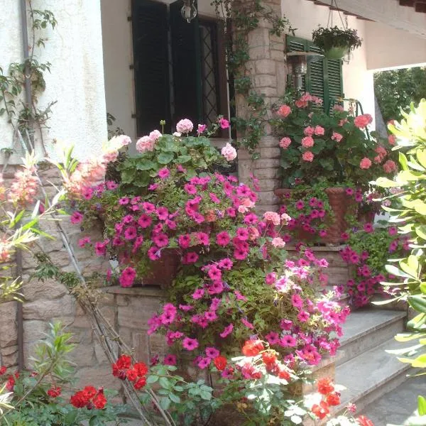 La Zattera Camere, hotel a San Vincenzo